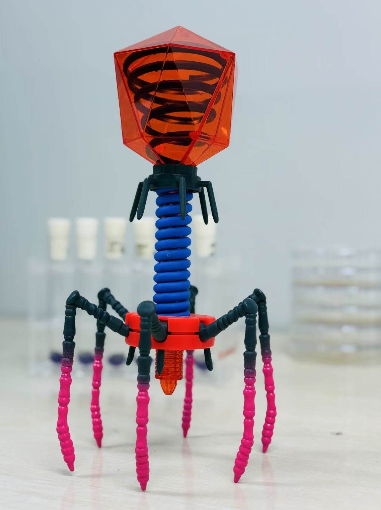 Company photograph of a bacteriophage structural model