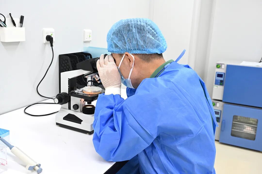 Microscope work photograph supplied with the original training-content article